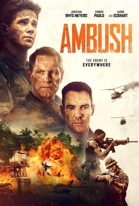 ambush imdb